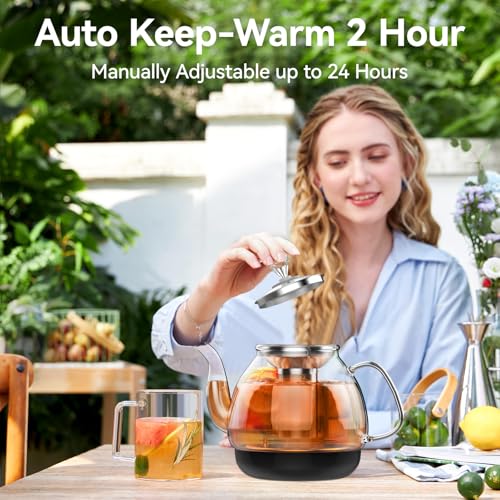 Tetera eléctrica de vidrio para té 0.8 L 800W miniatura 6