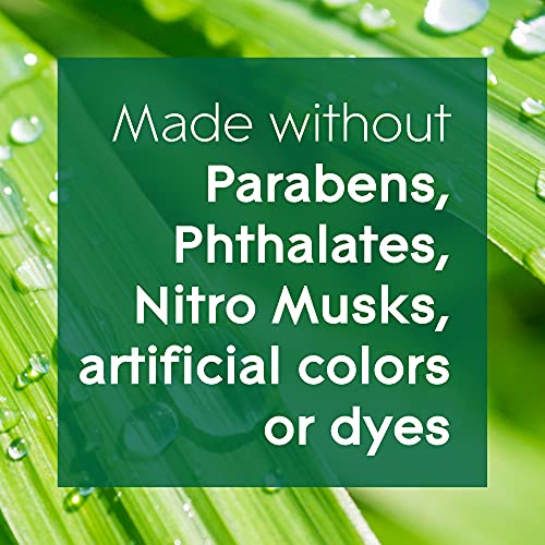 Glade Aromatherapy Candle, Home Decor Scented Calming Jar Candle, Up to 37 Hour Burn Time, Calm Mind with Italian Bergamot & Guatemalan Lemongrass, 260g - Image 5