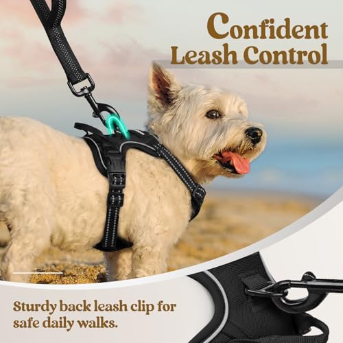 Image of rabbitgoo Dog Harness No Pull with 2 Leash Clips, Adjustable Soft Padded, Reflective Oxford No Choke Pet Vest with Easy Control Handle for Puppy, Black, XS
