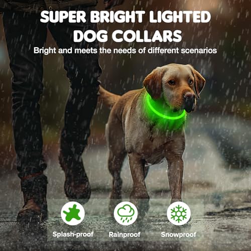 MASBRILL Leuchthalsband Hund Aufladbar, Hundehalsband Leuchtend Wasserdicht mit 3 Beleuchtungsmodi, Einstellbare Länge LED Halsband für Kleine, Mittlere und Große Hunde(Grün)