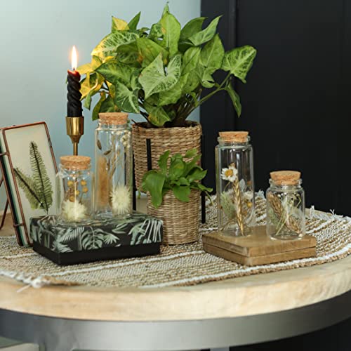 comforder Trockenblumen im Glas mit Korken 4er Set, getrocknete Blumen-Deko in eleganten, schmalen Gläsern (Natur)