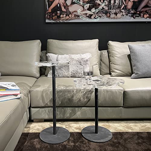 Acrylic Panel With Iron Tripod Creative Flower Shaped Small Edge Table Acrylic Transparent Sofa Corner Table Nordic Modern Coffee Table Portable Detachable Dessert Table Mobile Coffee Table (Small) #TOP2