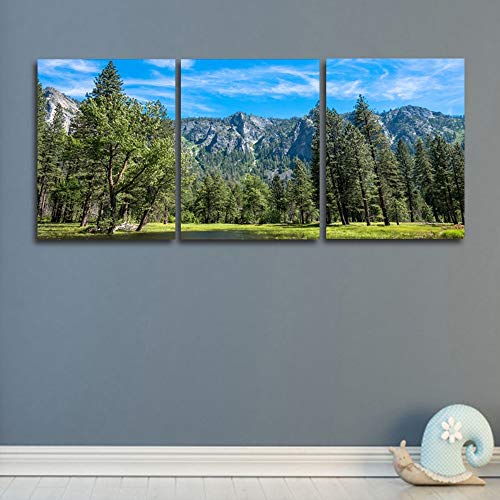 Tableau triptyque mural scène naturelle arbre vert salon moderne - 6