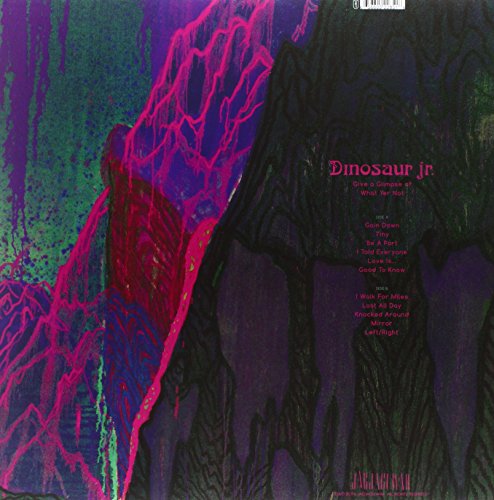Give A Glimpse Of What Yer Not [Disco de Vinil]