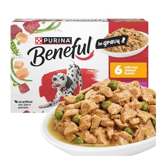 Purina Beneful with Real Chicken or Steak Flavor in Gravy Wet Dog Food Variety Pack - 5.5 oz. (Pack of 12)