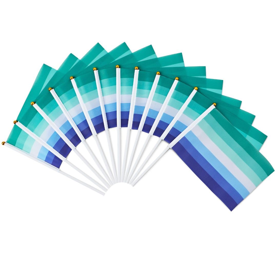 Runesol 12 Pack Hand Held Vincian Pride Flags, 14cm x 21cm, Mini LGBTQ Flags, Small Flags on Sticks - Image 4