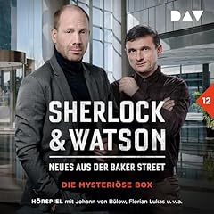 Die mysteri&ouml;se Box cover art