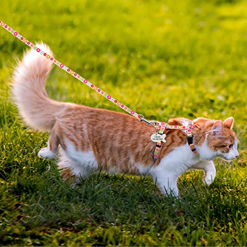 Nylon-Katzen-Welpengeschirr, individuell Bedruckt, zu Fuß, Katzen, Kätzchen, Weste, Haustier-Traktionsgeschirr, Leine-Set mit