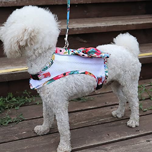 Conjunto de arnés y Correa de Malla de Nailon Transpirable para Perros Chaleco de arnés de Chihuahua Estampado a la Moda con Lazo para Perros pequeños y medianos Gatos