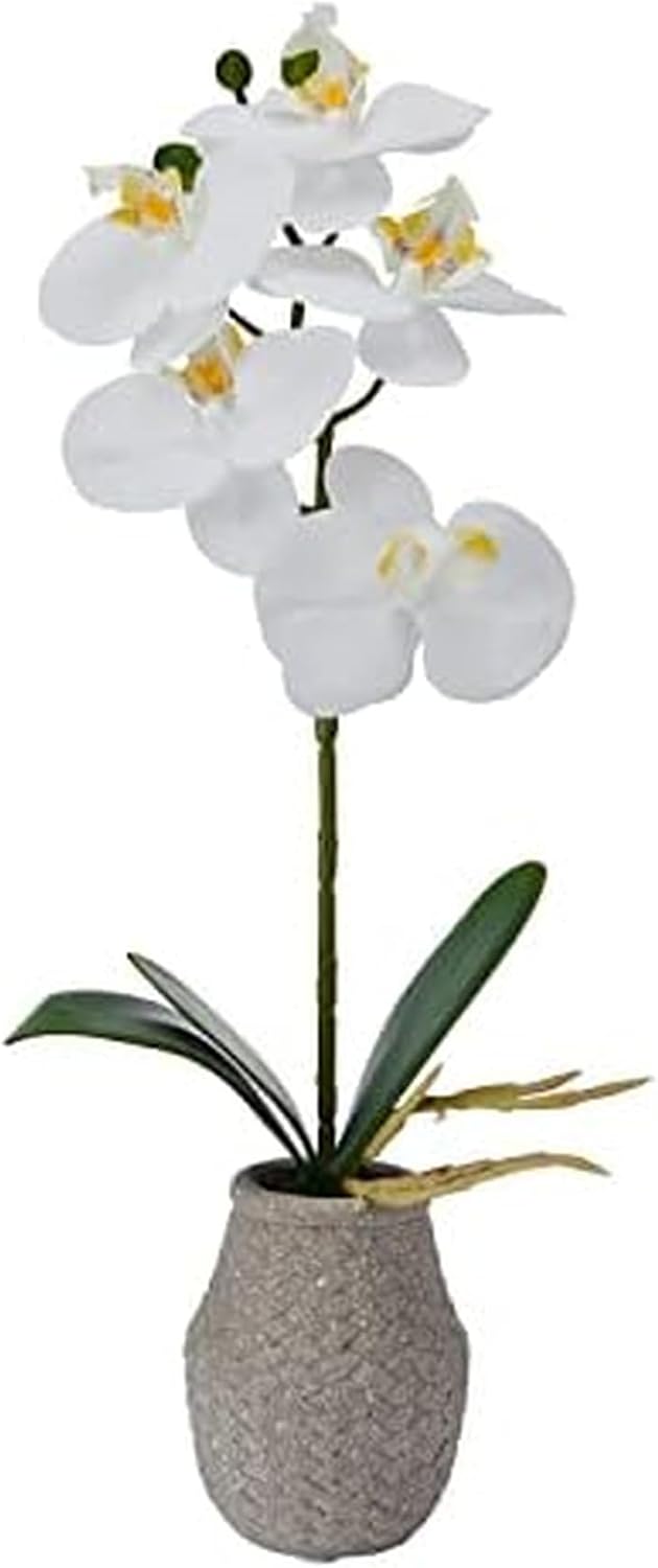 Mikasa Artificial Orchid in Pot, Real Touch Phalaenopsis Orchid, Embossed Weave Cement Pot, 16-Inch Single Branch, White/Yellow (Pack of 2)