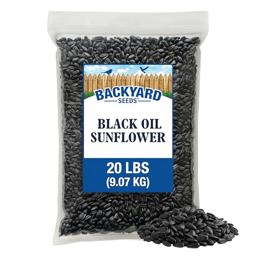 Image of CountryMax 20LB Black Oil Sunflower Seeds for Birds - in Shell | Thin Shells, Cardinal Favorite, High Energy & USA Sourced. For Ground Feeding or Bird Feeders, For Year-Round Feeding