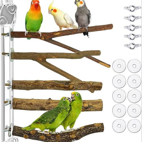 Image of Natural Wood Bird Perch Set, 5 Branch Perches with Mounting Hardware, Parrot Cage Accessories for Claw and Beak Care (Natural, Medium)