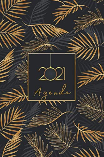 Télécharger Agenda 2021: 12 mois journalier 2021 - Agenda Semainier - format A5 - janvier à décembre 2021 - pl Gratuit