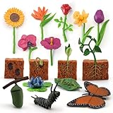 16PCS Butterfly Plant Growth Cycle Set Preschool Puzzle Gift Set Butterfly Pea Growth Cycle Flowers Desktop Decorations Party Decorations