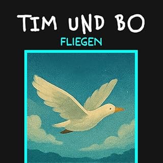 Fliegen cover art