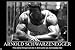 bribase shop Arnold Schwarzenegge Body Building Nice Silk Fabric Cloth Wall Poster Print (20x13inch)