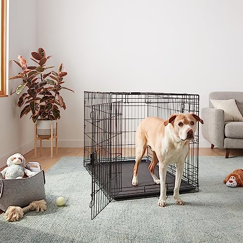 Image of Amazon Basics Portable Metal Wire Dog Crate for Large Dogs, Double Door with Removable Tray, Divider Panel, Easy to Assemble, 48 inch x 30 inch x 32.5 inch, Black