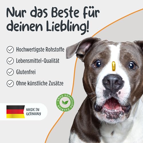 Omega-3 Kapseln für Hunde & Katzen | HOCHDOSIERT mit 1.000mg reinem Fischöl pro Kapsel | Sehr hoher Gehalt an EPA & DHA Fettsäuren | PCB-frei | Ohne Zusätze | 120 Kapseln | Deutsche Herstellung