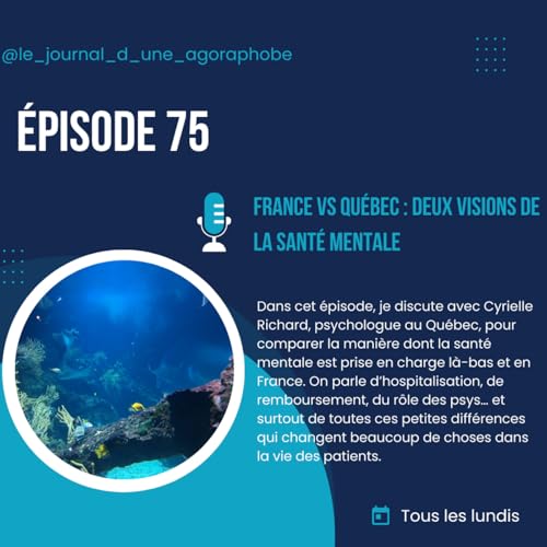 『France vs Québec : deux visions de la santé mentale』のカバーアート