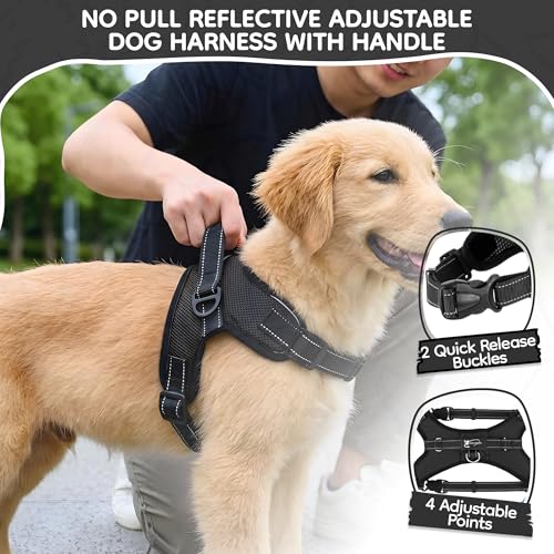 Copatchy No Pull Reflective Adjustable Dog Harness with Handle- Comfortable Soft All Weather Mesh, Easy On Puppy Harness for Small Medium and Large Dogs (Black) Small by Copatchy - Image 2