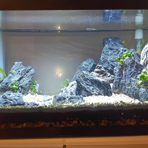 Image of 3 LB Aquarium Rocks Stones, 2-6 inches Natural Seiryu Stone, Fish Tank Decor Rocks for Fish Tank Landscaping, Bonsai, Gardens, Reptile Terrariums Paludarium Amphibian Enclosures Aquarium Decor