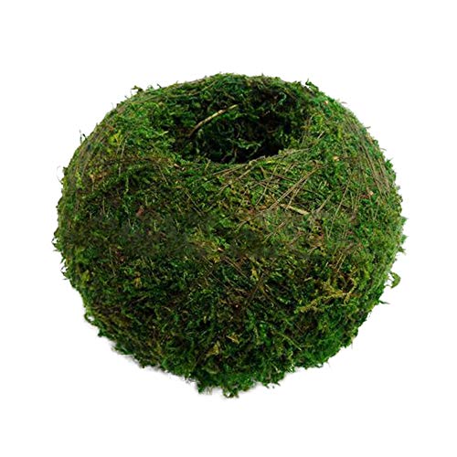 quanju cheer Moss Ball Bonsai Plant Flower Pot Bird Nest DIY Gardening Home Table Decoration Garden Repair Tools- 6#