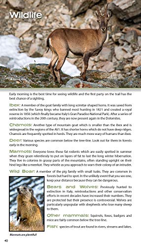 Trekking the Dolomites Av1: Real Tabacco Maps - 1:25,000: 4