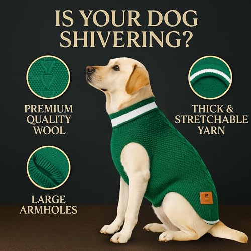 Image of Dog Sweater for Large Dogs (Green, 24-Inch) - Soft, Stretchable Knit Dog Winter Clothes to Keep Labrador, Boxer & Indie Warm, Cozy and Stylish