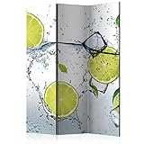 Impression bilatérale: Couleurs résistantes à la lumière et inodores. Le paravent présente le même motif des deux côtés, assurant une apparence cohérente et élégante sous tous les angles. Idéal pour le salon, la chambre, la chambre d'enfant ou le bureau.