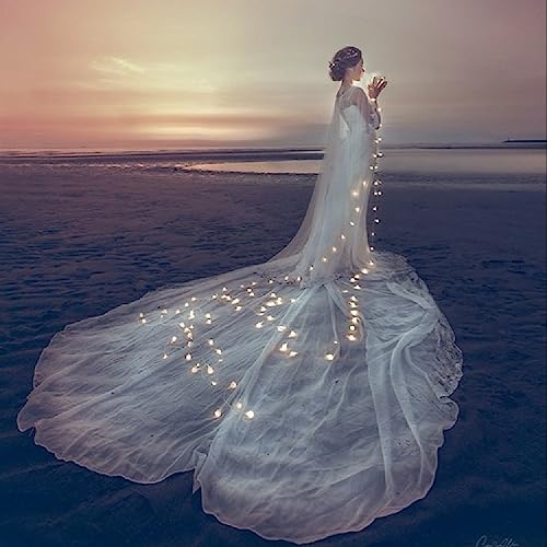 SFOUR『フェアリーライト電飾ledイルミネーション』