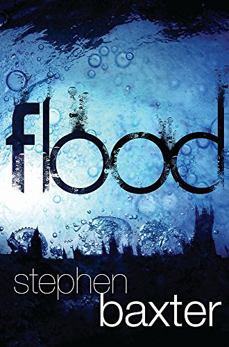 Flood view 2