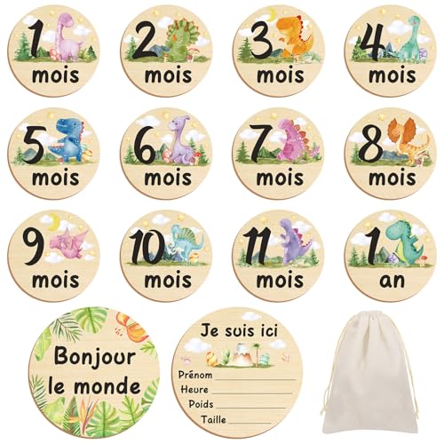 Halinuia Carte Etape Bébé Bois Français, Cadeau de Naissance Bebe, 26 moments de la Naissance à 1 an sur 13 disques en Bois Gravés Recto-Verso, Cartes de Bébé Milestone pour Futurs Parents