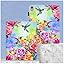Hummingbird Floral
