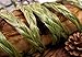 Saint Terra - Sweetgrass Braid for Smudging, 24 to 30 Inches Long Natural Hand-Braided Sacred Herb for Smudging, Cleansing, Meditation & Spiritual Use