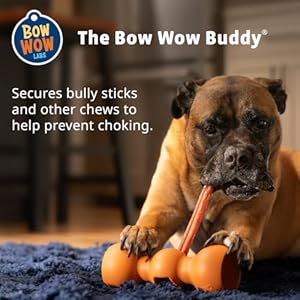 Bow wow labs 6 bully sticks for dogs 100 all natural grass fed free range beef low odor long lasting chews safefit 10 pack midsize  urban country home decor