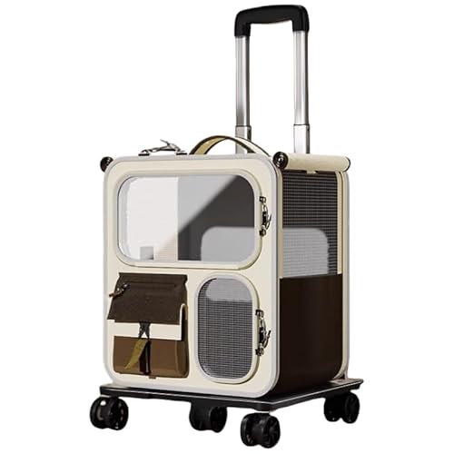 OXIZER LobOAOopLobNpbNA|[^uAybgg[P[XAobNpbNAbVʋCAȂAGȂLXy[XAKAhƏɋIbNXtH[hzA360°jo[TzC[+O\ȃg[AmCYጸAa