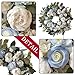 WANNA-CUL 24 Inch Spring White Peony Wreaths for Front Door,Spring Summer Wreath with Baby Blue Rose Flower for Wedding or Valentines Day,Mothers Day Wreath Decor