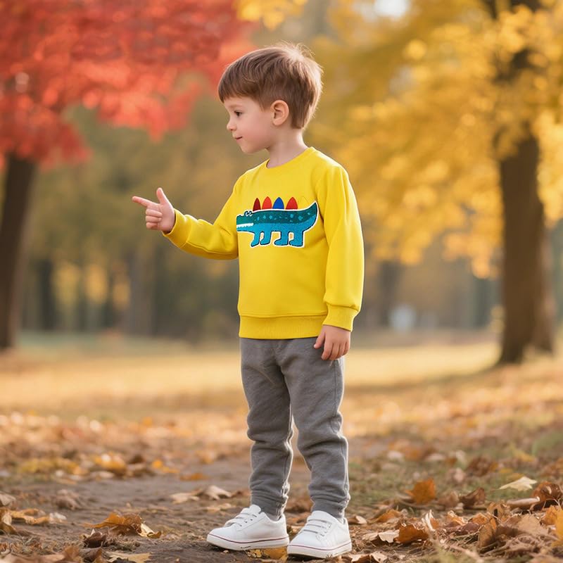 Image of GFQLONG Toddler Boy Sweatshirt 2T 3T 4T 5T Long Sleeve Shirts Boys Sweater | cotton Dinosaur Cartoon Pullover Crewneck Sweatshirt,toddler boy sweaters tops,kids fall winter clothes
