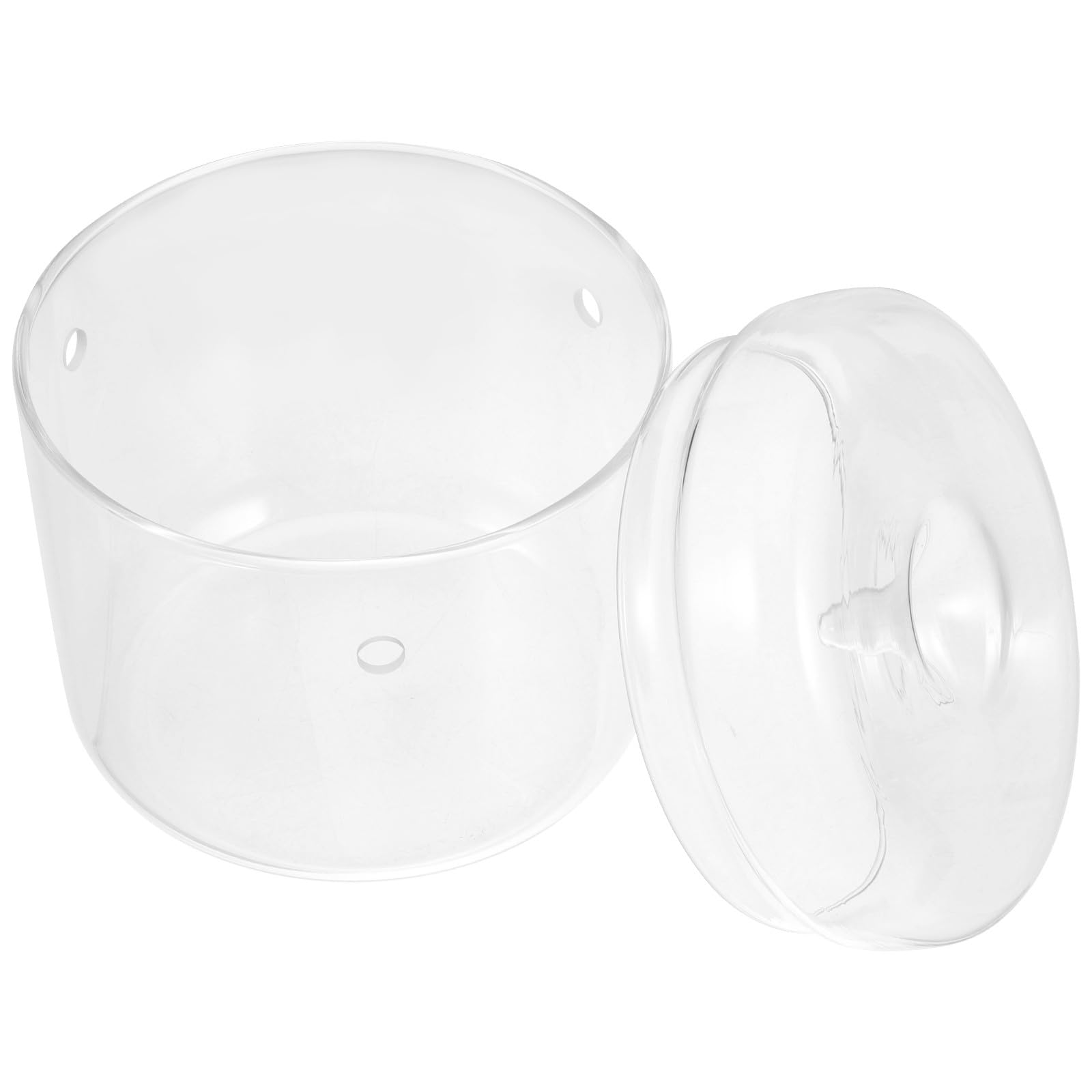 Levemolo Terrario Ecosistemico in Vetro 12x12 Cm Bottiglia Micro Paesaggio, Vaso da Terrario Fai da Te per Piante Muschio, Decorazione da Tavolo per Ufficio e Casa