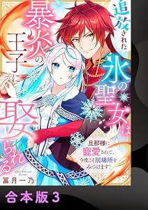 追放された氷の聖女は暴炎の王子に娶られる～旦那様に寵愛されて、今度こそ居場所をみつけます！～【合本版】3 (アイプロセレクション)