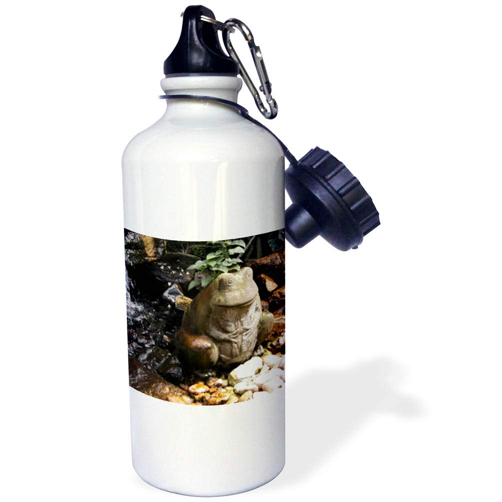 3dRose Ceramic Frog in a Fountain Sports Water Bottle 21 oz White