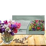 Outsidepride Annual Sweet Peas Mix - 250 Seeds