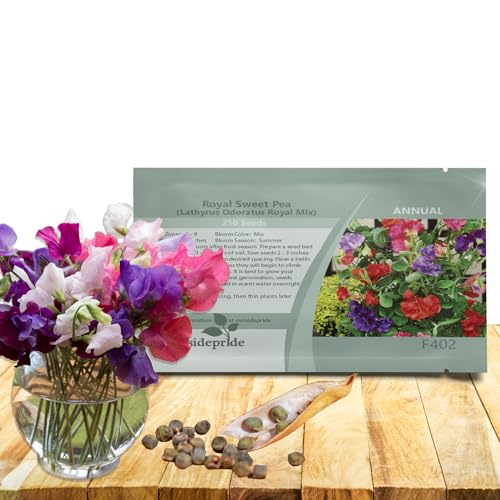 Outsidepride Royal Mix Sweet Pea Seeds - 250 Pcs Annual, Easy to Grow, Vine Seeds for Planting Fragrant, Long-Lasting Flowers with Free-Flowering Habit & Tall Size for Vertical Gardens