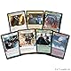 Star Wars: Unlimited TCG Schatten der Galaxis Zwei-Spieler-Starter – Schnelles Trading Card Game für Kinder und Erwachsene, Alter 12+, 2+ Spieler, 20 Minuten, von Fantasy Flight Games, Deutsch