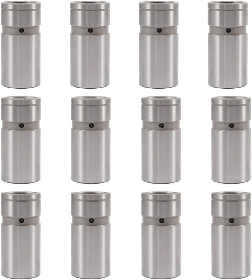 ROADFAR 12 Pack Hydraulic Valve Adjuster Valve Lifter Fits For AMC Series & For Chrysler Cordoba Replaces JB-2011 VL89