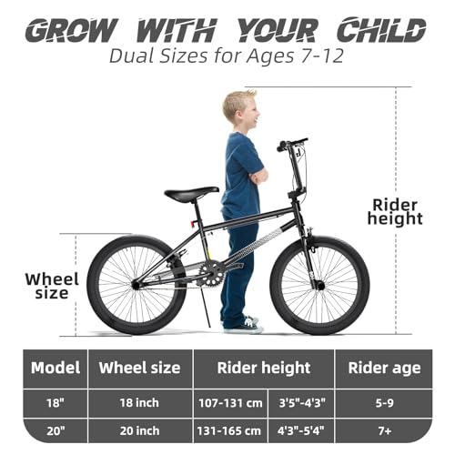 67i BMX Bike with Pegs