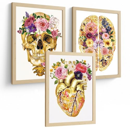 Posters anatomie florale dorée A4 lot de 3 tableaux muraux Nacnic