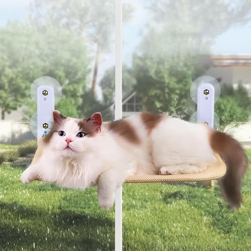 Siège de bain de soleil d'intérieur pour chat de salon - 4
