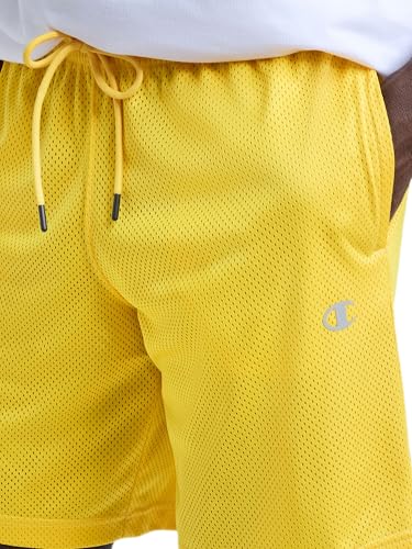 Image of Champion Men's Performance 9 inch Mesh Shorts