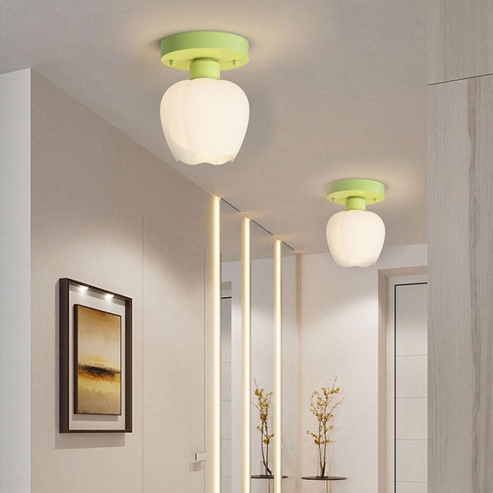 Genérico Lámpara de Techo Moderna de Estilo Nórdico con Forma de Flor LED Regulable - Elegante Luminaria Empotrada para Pasillos Y Dormitorios
